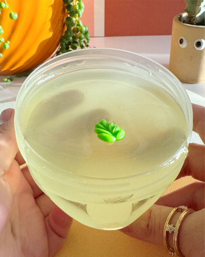 ALOE VERA JUICE