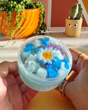 BUTTERFLY PEA FLOWER QQ TEA
