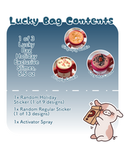 HOLIDAY 2025 LUCKY BAG