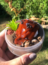 Choco Mallow Mousse ★