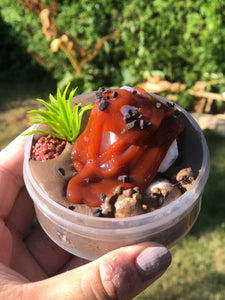 Choco Mallow Mousse ★