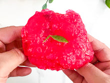 HIBISCUS ROCK CANDY
